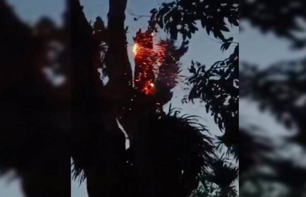Lightning in Bazarichera, fire in trees