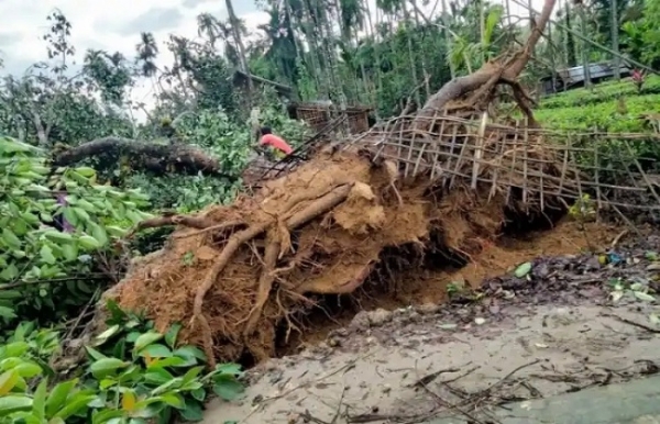 Storm rages in Assam (File pix)
