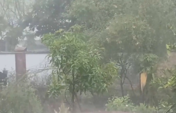 তামিলনাড়ুর নীলগিরিতে মুষলধারে বৃষ্টি, বাতিল একাধিক ট্রেন