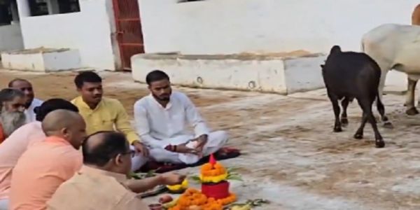 গোবর্ধন পুজোর শুভেচ্ছা যোগীর, তুলে ধরলেন গবাদি পশু কল্যাণের উদ্যোগের কথা