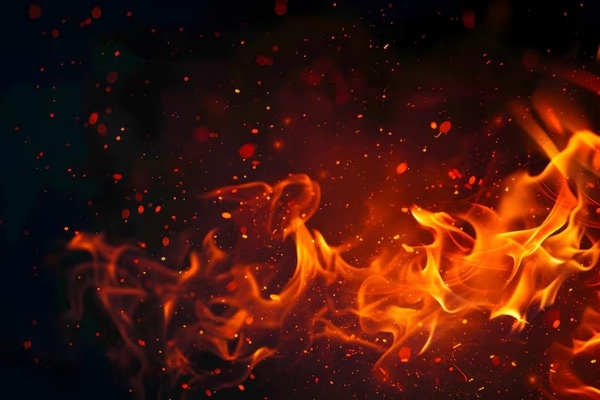 হুগলির কোন্নগরে গ্যাস অফিসে ভয়াবহ অগ্নিকাণ্ড