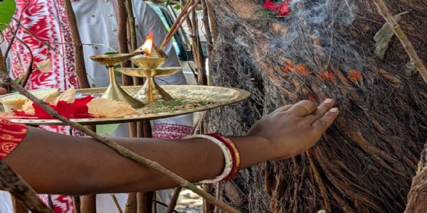 গাছ বাঁচাতে প্রতীকি ভাইফোঁটা সুন্দরবন এলাকার রায়দীঘিতে, সামিল পুলিশকর্মীরাও