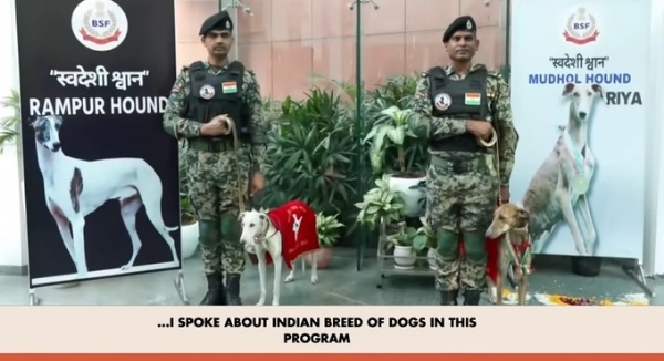 ভারতীয় প্রজাতির কুকুর নিয়ে মন কি বাত-এ বার্তা প্রধানমন্ত্রীর ভারতীয় প্রজাতির কুকুর নিয়ে মন কি বাত-এ বার্তা প্রধানমন্ত্রীর