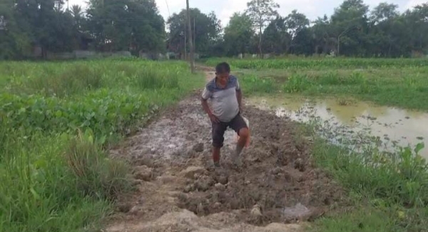 রাস্তা সংস্কারের দাবি