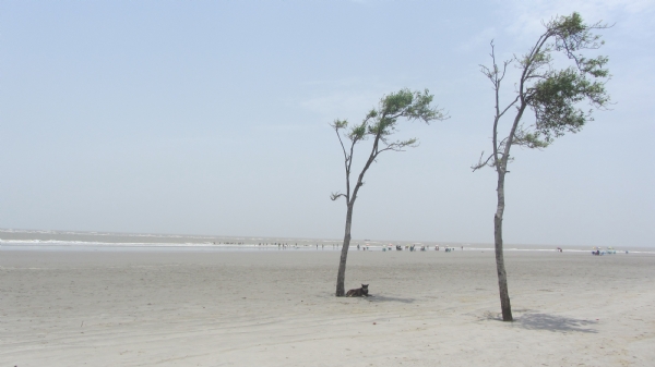 বৃষ্টির মধ্যেই বিপত্তি, বলখালিতে সমুদ্রে ডুবে মৃত্যু এক পর্যটকের