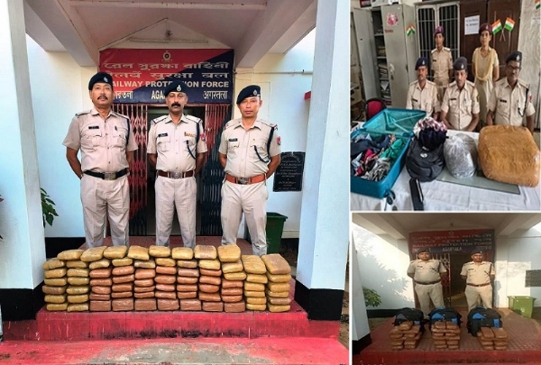আরপিএফ-এর পৃথক অভিযানে উদ্ধার ১৯.৬৯ লক্ষাধিক টাকার গাঁজা