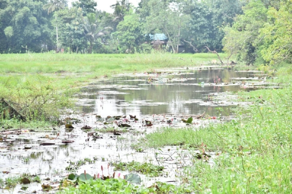 জল সংরক্ষণের উদ্যোগ