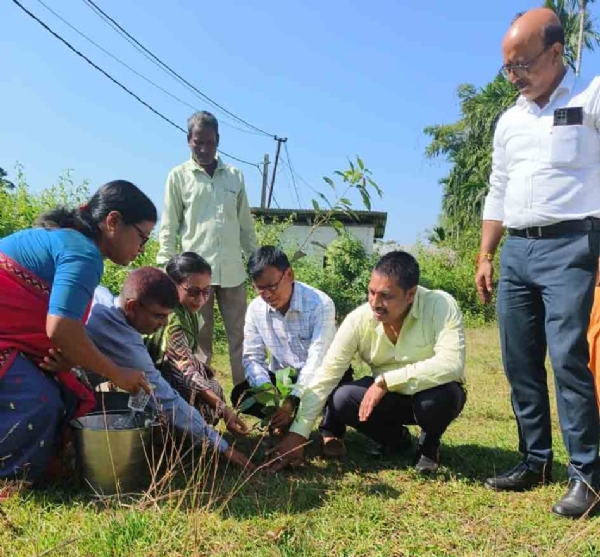 বৃক্ষরোপণ কার্যসূচি