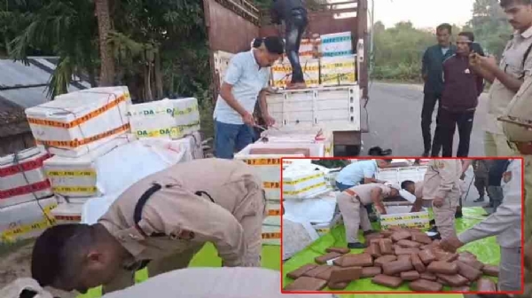 প্রায় আড়াই কোটি টাকার গাঁজা বাজেয়াপ্ত বাজারিছড়ায় প্রায় আড়াই কোটি টাকার গাঁজা বাজেয়াপ্ত বাজারিছড়ায়