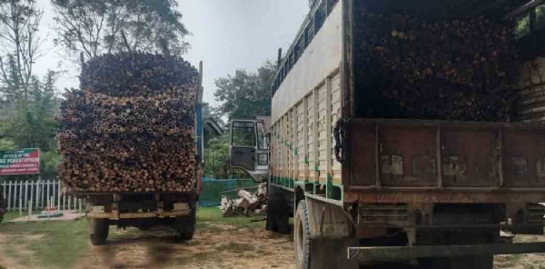 পাথারকান্দিতে বাজেয়াপ্ত দুটি বাঁশ বোঝাই লরি পাথারকান্দিতে বাজেয়াপ্ত দুটি বাঁশ বোঝাই লরি