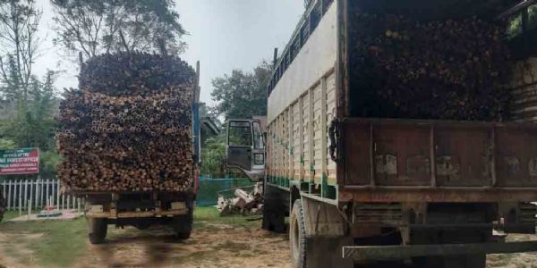 পাথারকা‌ন্দি বাইপাসে দোহা‌লিয়া বনকৰ্মীদের অভিযান, বাজেয়াপ্ত বাঁশ-বোঝাই দু‌টি ল‌রি