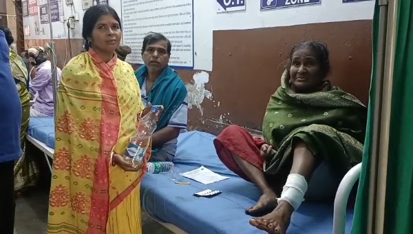 হনুমান আতঙ্ক