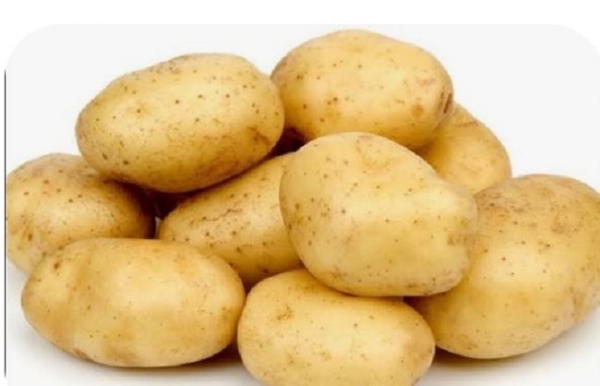 ফররুখাবাদে আলুর বাজার পড়ল ভেঙে , নতুন-পুরনো দুই আলুরই দাম কমায় বিপাকে কৃষকরা