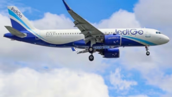ইন্ডিগো ইন্ডিগো