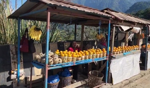 রাস্তার পাশে বিখ্যাত জাটিঙ্গার কমলার পসরা রাস্তার পাশে বিখ্যাত জাটিঙ্গার কমলার পসরা