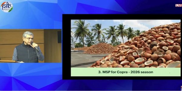 ২০২৬ মরশুমের জন্য নারকেলের শুকনো শাঁস বা কোপরার ন্যূনতম সহায়ক মূল্যে অনুমোদন কেন্দ্রীয় মন্ত্রিসভার