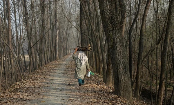 শীতের দাপট অব্যাহত কাশ্মীর উপত্যকায়, বাড়ল তাপমাত্রা শীতের দাপট অব্যাহত কাশ্মীর উপত্যকায়, বাড়ল তাপমাত্রা