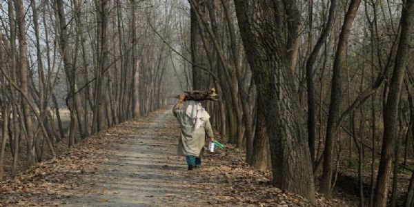 শীতের দাপট অব্যাহত কাশ্মীর উপত্যকায়, বাড়ল তাপমাত্রা