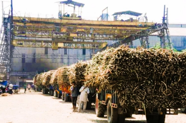 মুরাদাবাদের আখচাষিদের স্বস্তি, চারটি চিনিকল দিল ১৬০.০৬ কোটি টাকা বকেয়া মুরাদাবাদের আখচাষিদের স্বস্তি, চারটি চিনিকল দিল ১৬০.০৬ কোটি টাকা বকেয়া