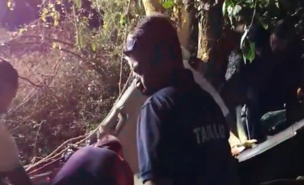 গুজরাটের আমরেলিতে গাছে ধাক্কা গাড়ির, মৃত্যু ৩ জনের গুজরাটের আমরেলিতে গাছে ধাক্কা গাড়ির, মৃত্যু ৩ জনের