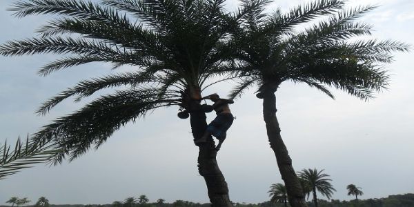দক্ষিণবঙ্গে জাঁকিয়ে শীত উধাও, ওঠানামা করছে তাপমাত্রা
