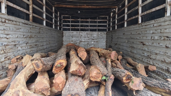 নওয়াদা জঙ্গল থেকে লক্ষাধিক টাকার খয়ের কাঠ উদ্ধার,গ্রেফতার পাঁচজন নওয়াদা জঙ্গল থেকে লক্ষাধিক টাকার খয়ের কাঠ উদ্ধার,গ্রেফতার পাঁচজন