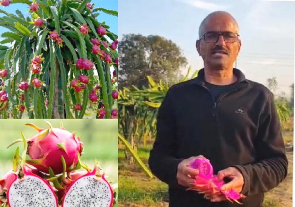 অবসরোত্তর জীবনেও সাফল্যের নতুন দৃষ্টান্ত গড়লেন জীবন সিং রানা