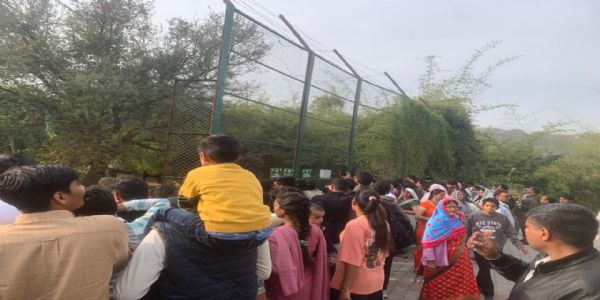 নাহারগড় জৈবিক উদ্যানের টাইগার ও লায়ন সাফারি পর্যটকদের প্রধান আকর্ষণ