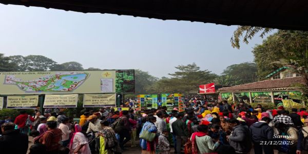 আলিপুর চিড়িয়াখানায় দর্শক সংখ্যা কম, গুগলকে দোষারোপ