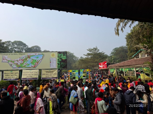 আলিপুর চিড়িয়াখানায় দর্শক সমাগমের ছবি