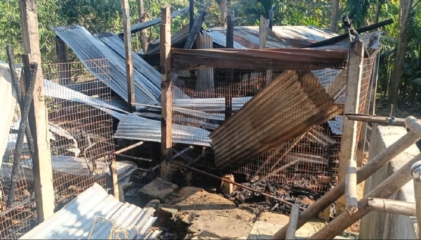 পোল্ট্রি ফার্মে আগুন পোল্ট্রি ফার্মে আগুন