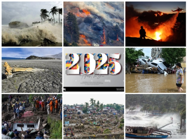 ফিরে দেখা