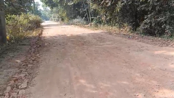 বেহাল রাস্তা