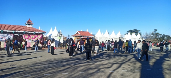 শিমলা শিমলা