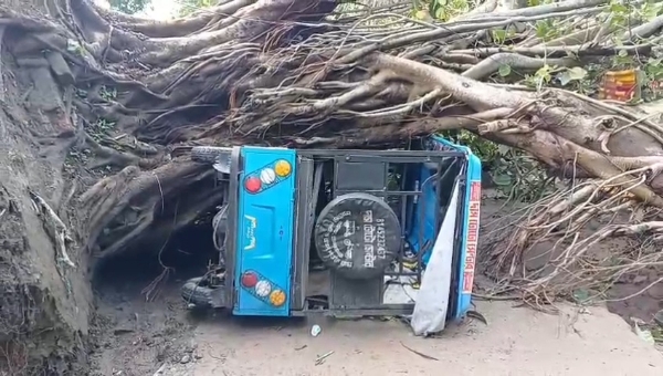 ঝরে ক্ষতি