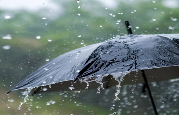 Rain