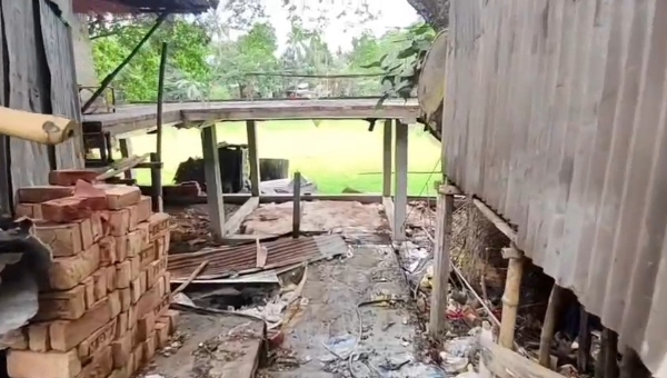 গাছ কাটা নিয়ে বিবাদ