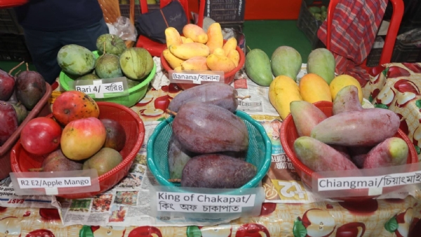 আম ও আনারস উৎসব