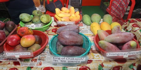 আগরতলায় শুরু আম ও আনারস উৎসব