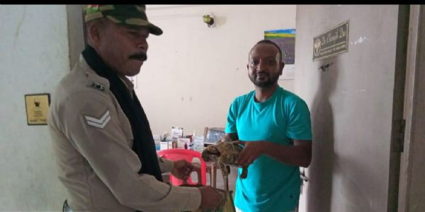 চিকিৎসকের সেবায় সুস্থ হয়ে চিড়িয়াখানায় জায়গা হল কচ্ছপের