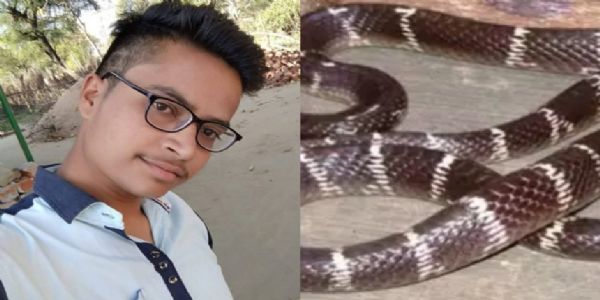 সাপের ছোবলে মৃত্যু, চিকিৎসার মাঝ পথে থেমে গেল জীবন