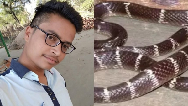সাপের ছোবলে মৃত্যু, চিকিৎসার মাঝ পথে থেমে গেল জীবন