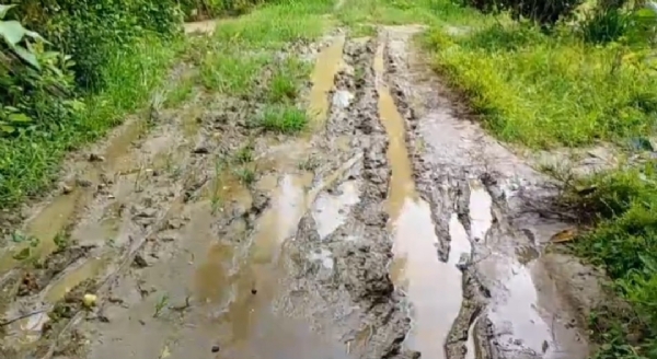 রাস্তা বেহাল