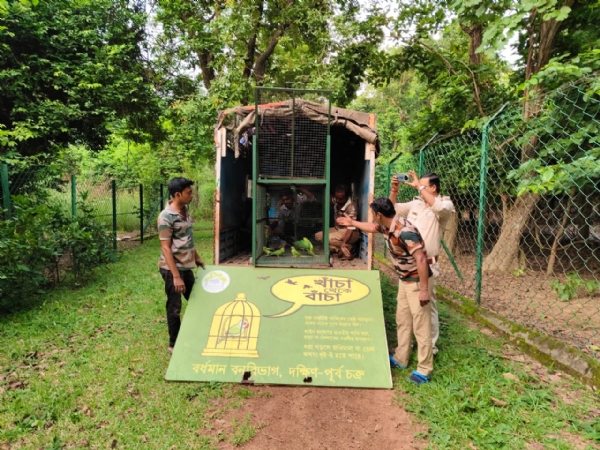 পাচারের আগে উদ্ধার ১৭০ টি টিয়ার ছানা, কাঁকসায় জাতীয় সড়কে ধৃত আন্তঃরাজ্য পাখি পাচারচক্রের দুই পান্ডা