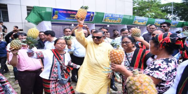 কুমারঘাটে আনারস উৎসব