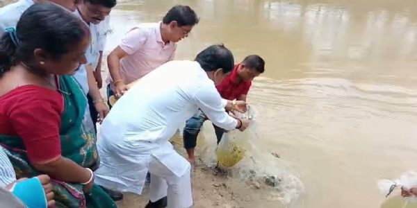 হাওড়া নদীতে বিভিন্ন প্রজাতির লক্ষাধিক মাছের পোনা ছাড়লেন আগরতলার মেয়র
