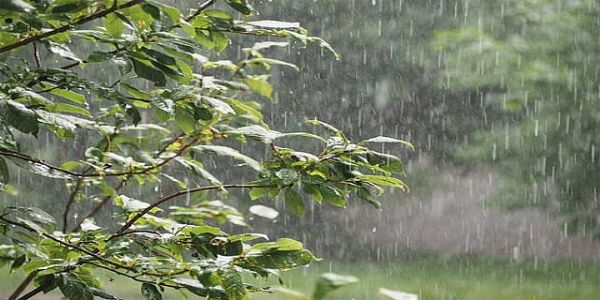 ঝাড়খণ্ডের পালামৌ জেলায় সর্বোচ্চ ২০৪ মিমি বৃষ্টিপাত