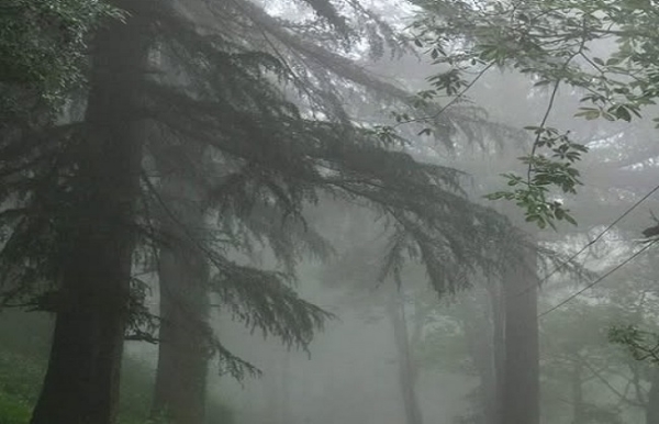 দেবভূমিতে ভারী বৃষ্টির হলুদ সতর্কতা, আর্দ্র আবহাওয়া কাশ্মীরে