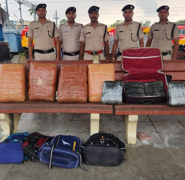 রেলওয়ে সুরক্ষা বাহিনীর অভিযানে ৫১ কেজি গাঁজা উদ্ধার