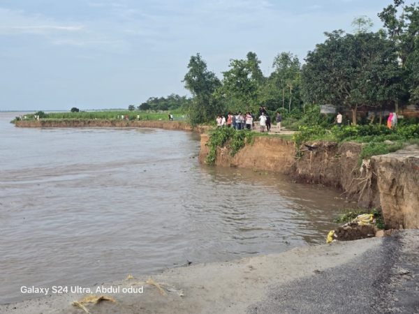 পদ্মা নদীর ভাঙন অব্যাহত লালগোলা এলাকায়